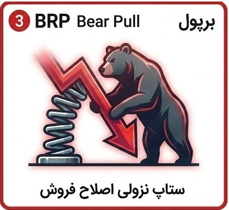 Bear Pull Setup